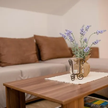 In With Seaview, Terrace, Air Condition, Wifi Appartement